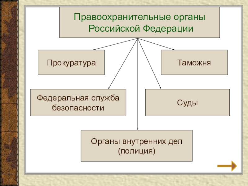 Проект обществознание 7 класс правоохранительные органы рф