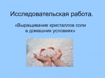 Выращивание кристаллов в домашних условиях 2 класс