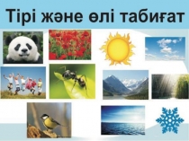 Өлі - тірі табиғат