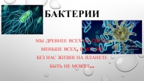 Презентация по биологии на тему Бактерии (5 класс)