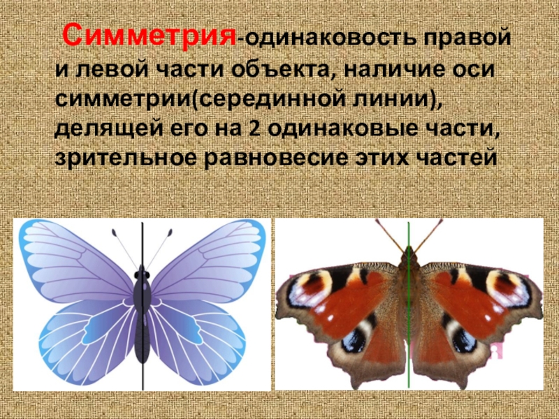 Симметрия 2. Симметрия. Осевая симметрия бабочка. Симметричные предметы. Осевая симметрия в природе бабочки.