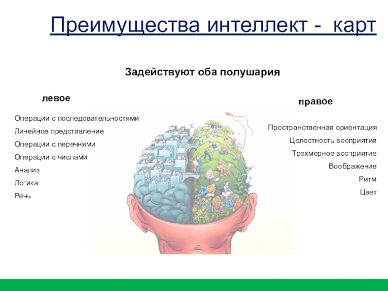 левоеправое Пространственная ориентация Целостность восприятия Трехмерное восприятие Воображение Ритм ЦветОперации с последовательностямиЛинейное представлениеОперации с перечнямиОперации с числамиАнализЛогикаРечь