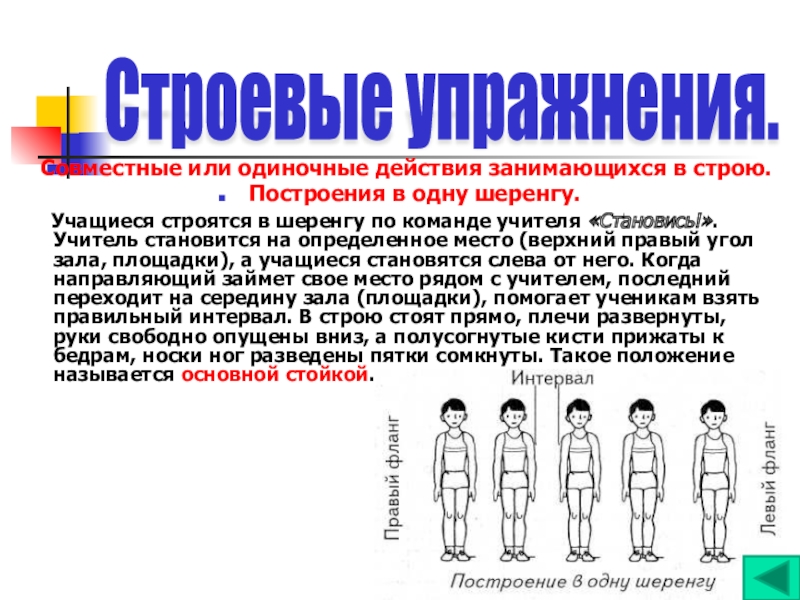 Строем или строим. Построение в шеренгу. Одна шеренга. Команды для построения в шеренгу. Построение детей в шеренгу.