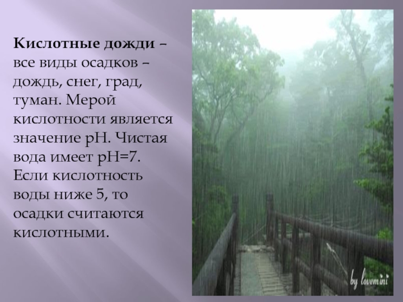 Виды дождей. Виды кислотных дождей. Кислотные осадки туман. Виды дождя. Туман это осадки.