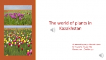 Презентация к уроку The world of plants in Kazakhstan