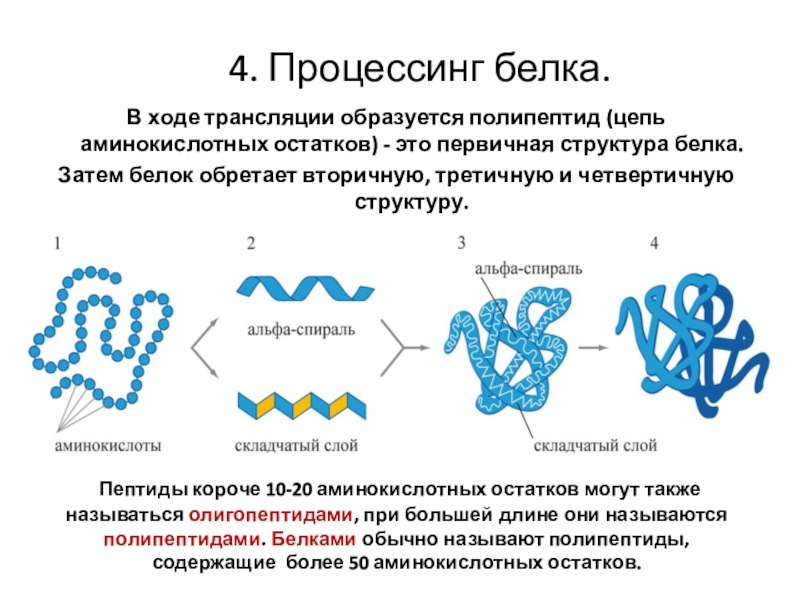 Процессинг осуществляется по схеме