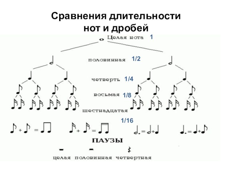 Презентация дроби и музыка