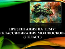 Презентация к уроку биологии в 7 классе Классификация моллюсков