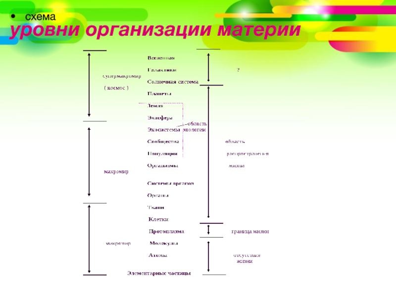 Организации материи. Схема уровни организации материи. Организация материи на химическом уровне. Уровнилрганизации материи. Масштабный уровень организации материи.