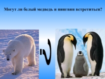 Презентация к уроку окружающего мира в 1 классе Где живут белые медведи?
