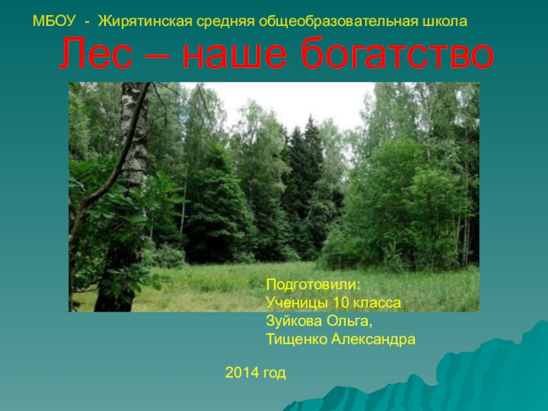 Лесные Богатства России Реферат