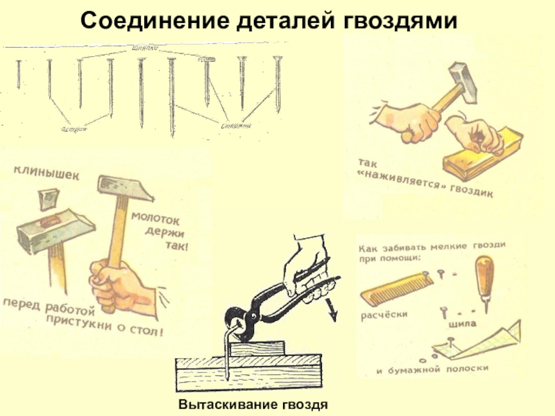 Технологии механического соединения деталей из древесных материалов и металлов 6 класс презентация