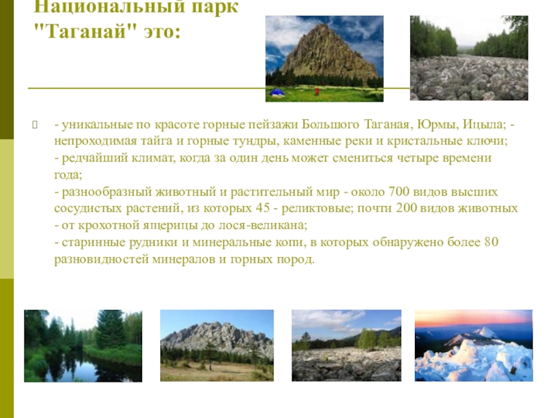 Состав национального парка таганай. Национальный парк Таганай рассказ. Национальный парк Таганай презентация. Национальный парк Таганай проект 4 класс. Таганай рассказ о национальном парке.