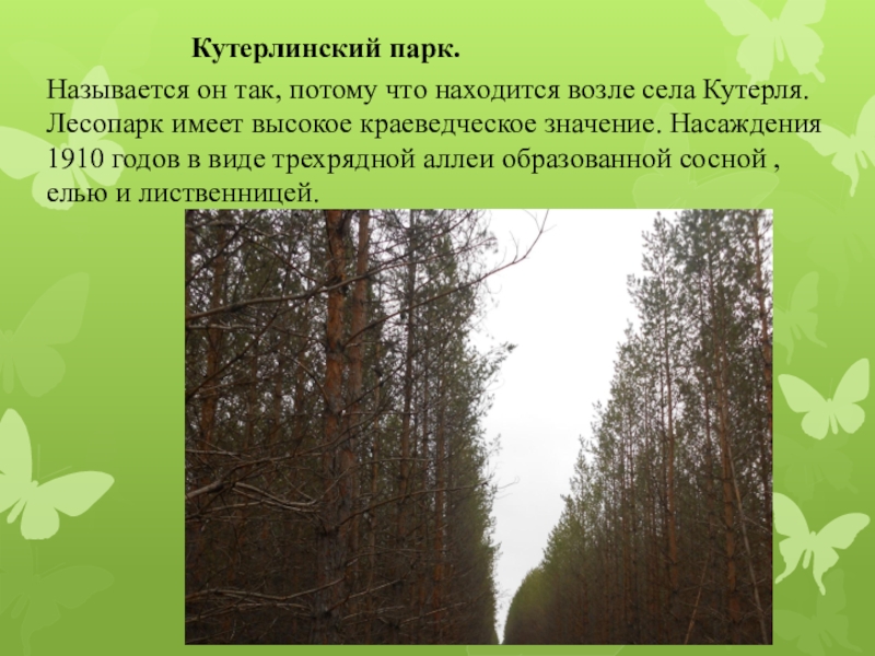 Природные памятники россии презентация