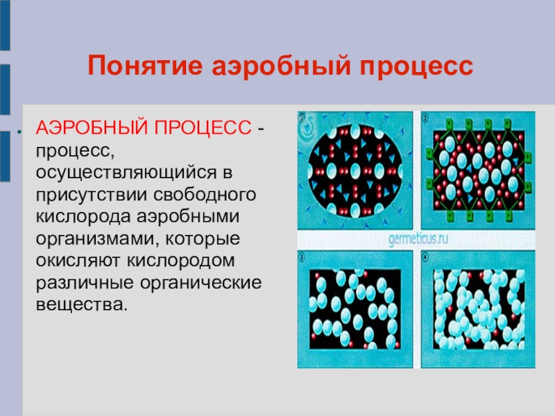 Уксуснокислое брожение презентация