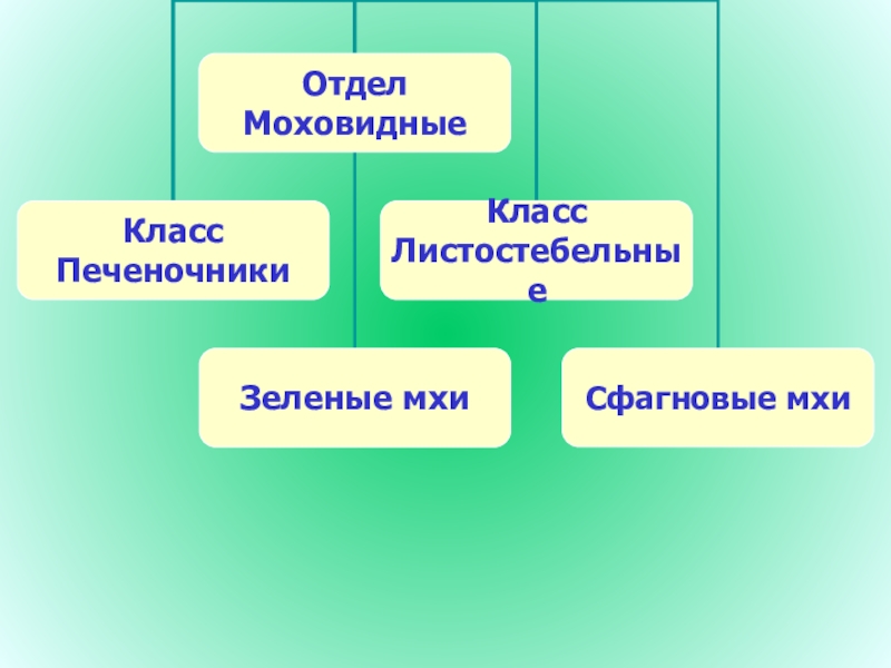 Отдел моховидные общая характеристика и значение 6 класс пономарева презентация