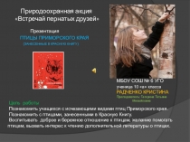 Презентация Птицы Приморского края