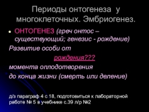 Урок по биологии. Эмбриогенез хордовых.