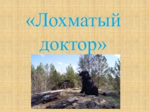 Проект Лохматый доктор(2 класс)