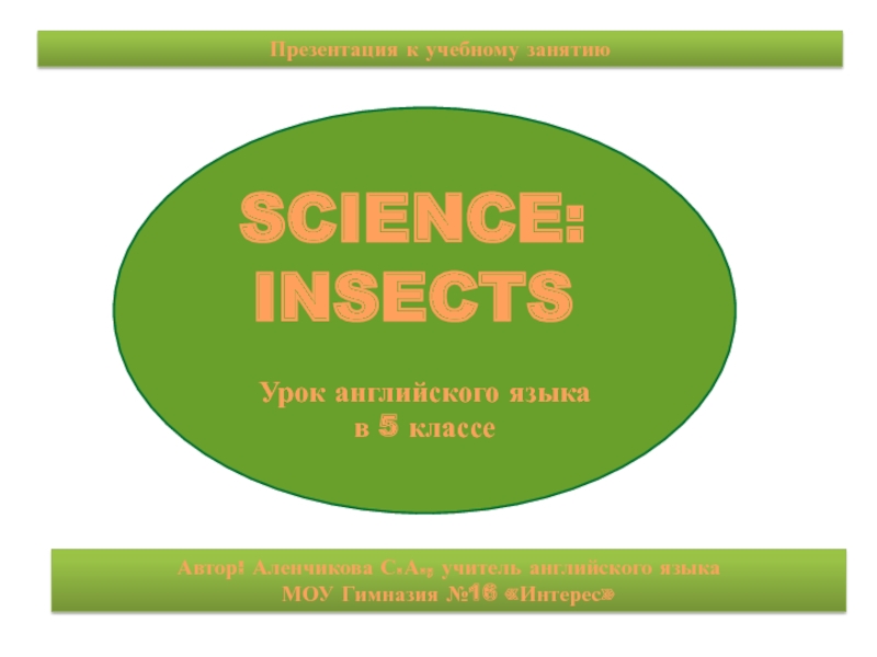 Презентация Методические рекомендации к презентации Science: insects/Естествознание: насекомые для урока английского языка