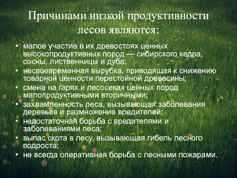 Лес причины. Продуктивность леса. Биологическая продуктивность лесов. Повышение продуктивности лесов. Продуктивность лесов это.