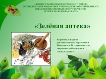 Презентация открытого занятия  Зелень