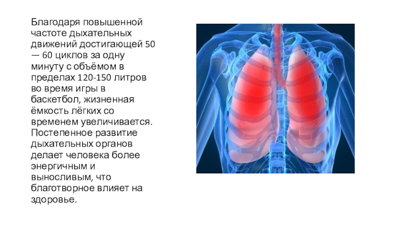 Повышает частоту. Влияние стресса на дыхательную систему. Влияние баскетбола на дыхательную систему. Влияние спорта на дыхательную систему. Влияние нагрузок на дыхательную систему.