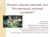 Презентация по познавательному развитию