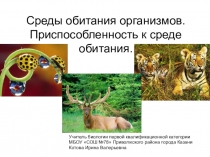 Презентация к уроку биологии в 5 классе по теме Среды обитания организмов