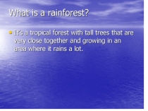 Презентация по английскому языку Rainforests are in danger