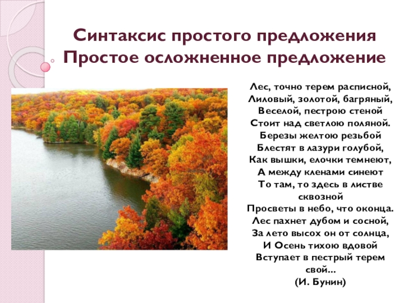 изложение путешественница 3 класс. тихие леса предложения. тихий лес о чем. природы чудное мгновенье стихотворение. тихий лес о чем.