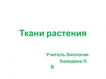 Презентация по биологии на тему: Ткани растения