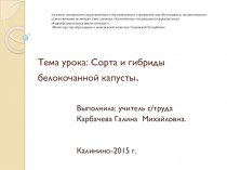 Презентация к урокуСорта и гибриды белокочанной капусты