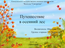 Путешествие в осенний лес
