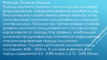 Факторы, влияющие на молочную продуктивность крс