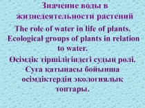 Роль воды в жизнедеятельности растений.