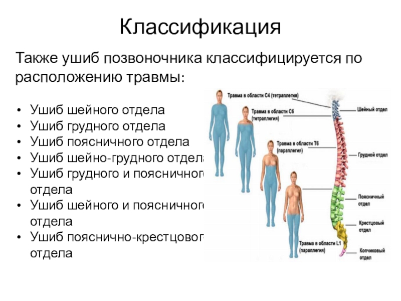 Почему после спинальной. Заболевания травм спинного мозга классификация. Повреждение поясничного отдела позвоночника классификация. Классификация травм спинного мозга неврология. Классификация травм спинного мозга. Ушиб.