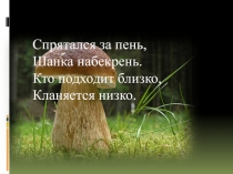 Презентация по биологии на тему Грибы