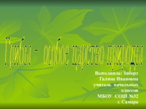 Презентация к уроку окружающего мира по системе Занкова Грибы 2 класс