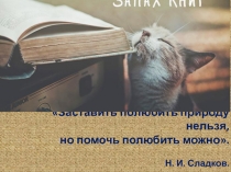 Презентация рассказа К. Паустовского Барсучий нос