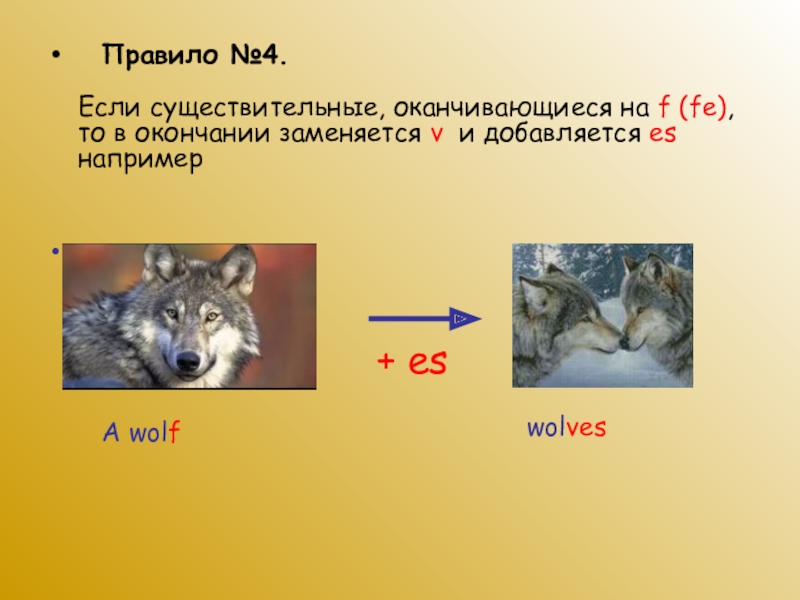 Wolf множественное число. Wolt множественное число. Wolf во множественном числе на английском. Волк во множественном числе на английском.