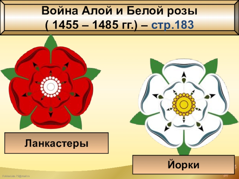 Проект на тему война алой и белой розы