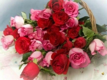 Презентация ко дню именинника