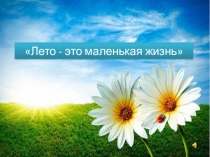 Фото отчёт о работе в лагере Лето - это маленькая жизнь