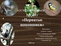 Презентация. Исследовательский проект Пернатые помощники