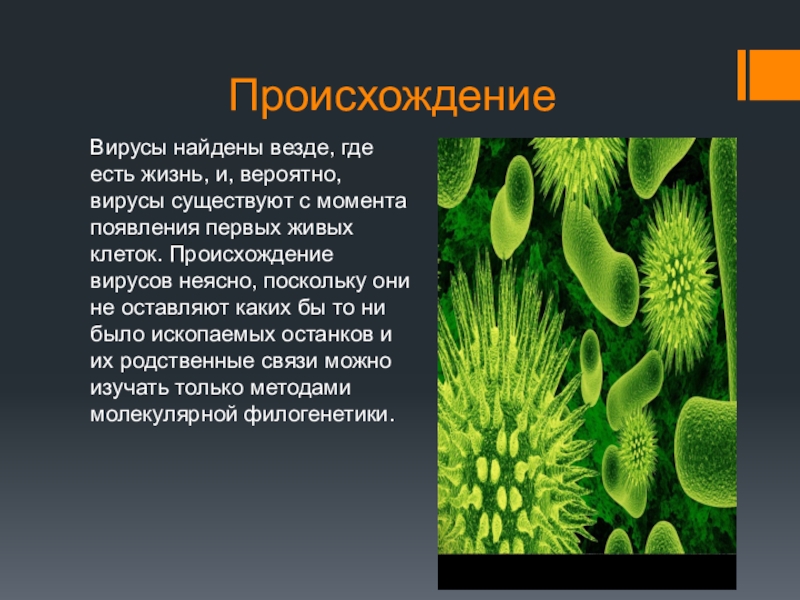 Вирусы биология 5 класс презентация. Происхождение вирусов биология. Появление вирусов. Где есть вирусы. Происхождение вирусов доклад.