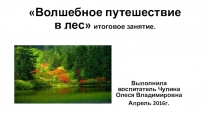 Презинтация итогового комплексного занятия на тему Волшебное путешествие в лес