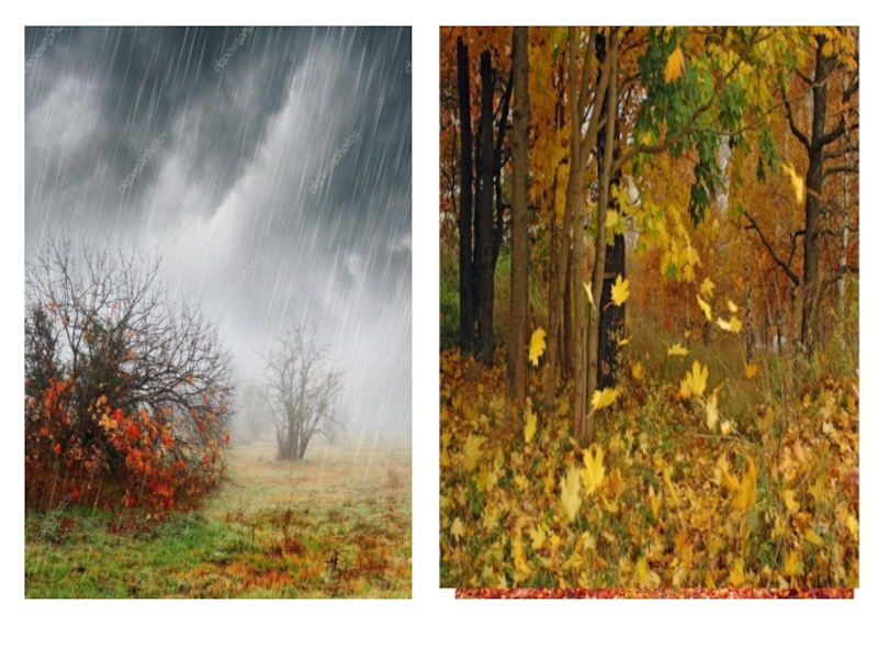 Изменения в сентябре 2016. Погодные изменения осенью. Золотая осень изменения в природе. Летний осенние изменения природы. Осенние изменения в природе рисунок.