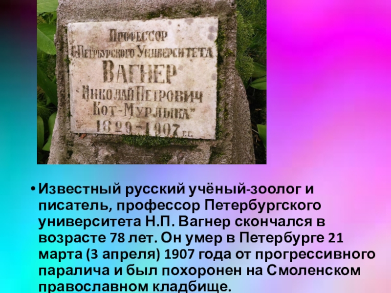 Профессор петербургского университета естествоиспытатель занимался проблемой ухудшения черноземов