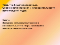 Урок 7 класс Кишечнополостные. Пресноводная гидра